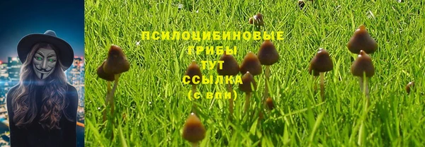 mdpv Беломорск