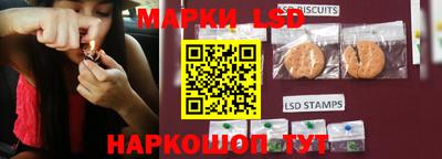 ГАЛЛЮЦИНОГЕННЫЕ ГРИБЫ Камышлов