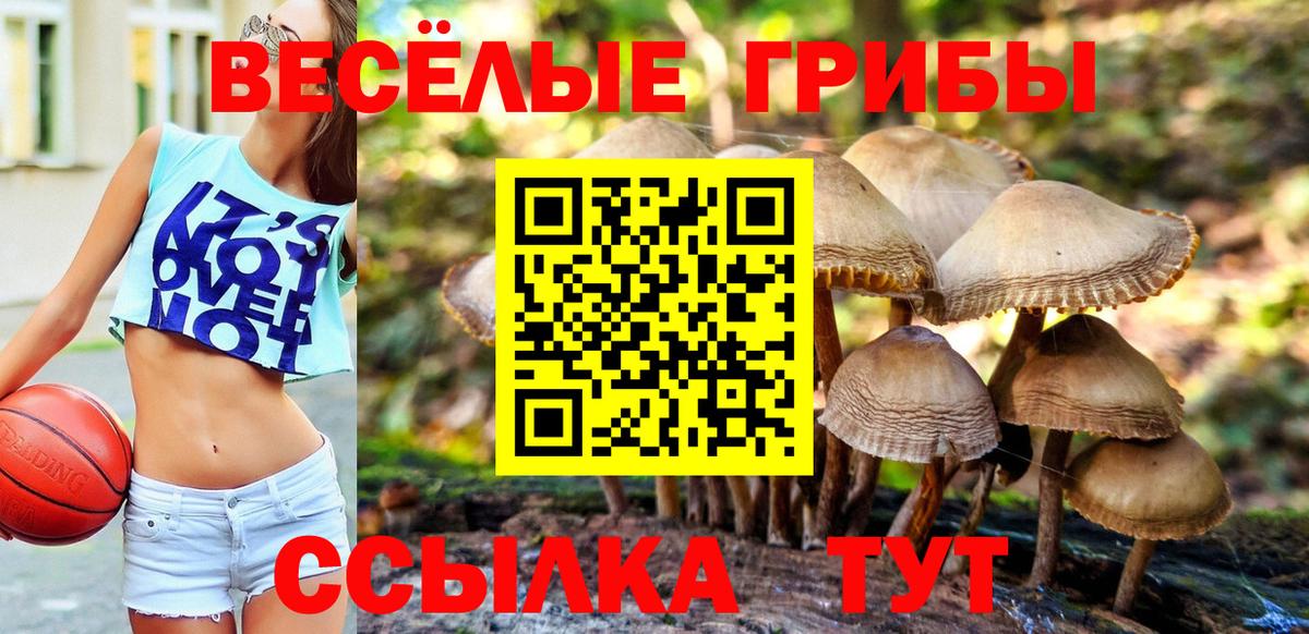 Галлюциногенные грибы прущие грибы  Галлюциногенные грибы Psilocybine cubensis  Свободный  Вход с VPN 